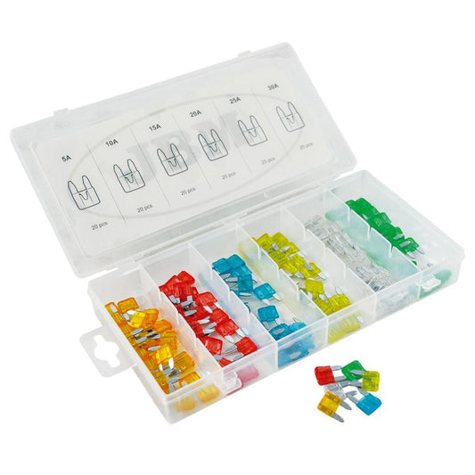 Mini Fuse Assortment Kit (120 PCS) – Automotive Electrical Fuses